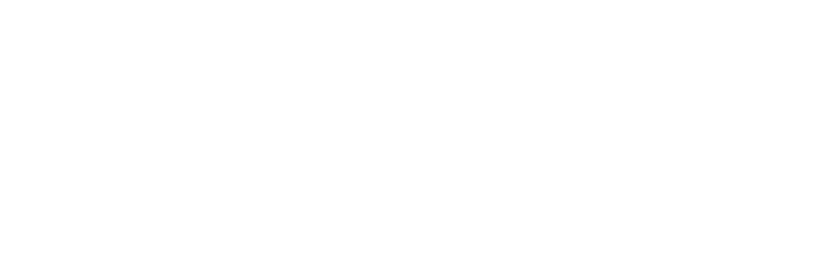 R.V Silveira